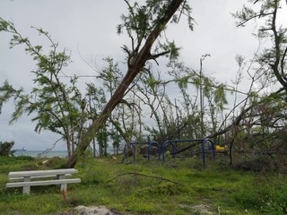 View of a children’s park by the beach devastated after typhoon  Soudelor hit Saipan, Northern Mariana Islands with the trees stripped and uprooted