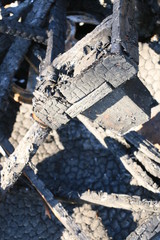 After the Fire