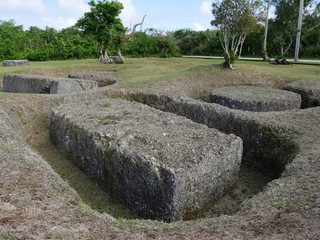 Different shapes of latte stones at the As Nieves Quarry on Rota, the largest megaliths in the Northern Mariana Islands. 