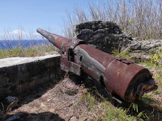 An old Japanese cannon facing the sea used during the World War 11 at Naftan Point, Saipan, Northern Mariana Islands.