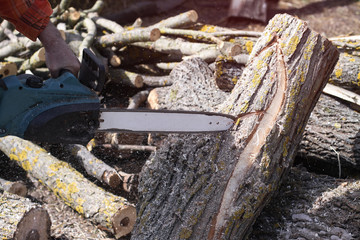 Lumberjack sawing tree chainsaw in the bright sun. A man with an electric saw cuts a log. construction and lumber. Stock background, photo.