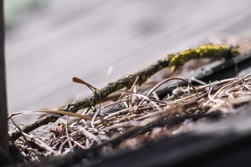 Beautiful textural wallpaper with straw and hay. Stock background, photo
