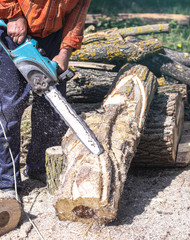 Obraz premium Lumberjack sawing tree chainsaw in the bright sun. A man with an electric saw cuts a log. construction and lumber. Stock background, photo.