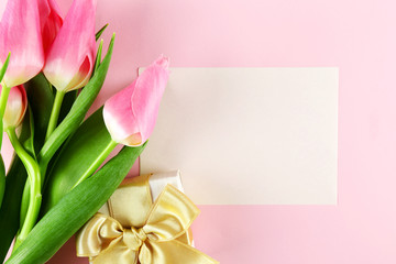 Fresh flower composition, bouquet of bi color tulips, pale pink and white gradient background. International Women's day, mother's day greeting concept. Copy space, close up, top view, flat lay.