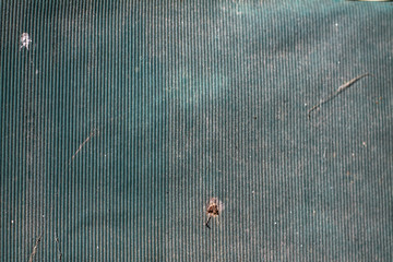 Interesting creative textures from a different plan of cobblestones or lines, cracks. Wallpaper for design