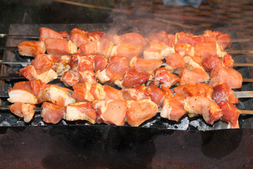 tasty juicy pieces of meat fried on coals. barbecue on the grill
