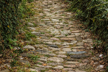 old abandoned paved textured stone road in park outdoor garden environment space wallpaper...