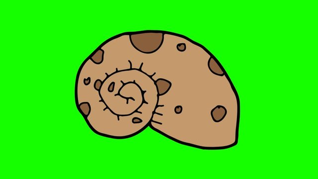 kids drawing green screen with theme of snail house