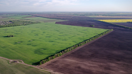Plowed field is separated from the green field forest belt. View from above