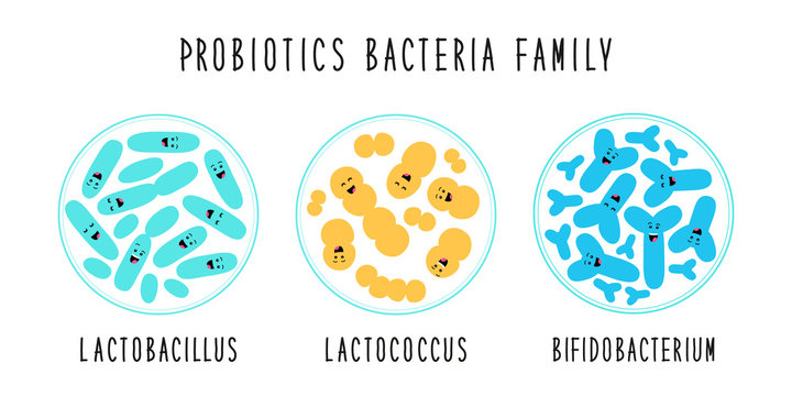 Funny probiotics bacteria family cartoon characters isolated on white, gut and intestinal flora, set in flat style