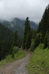 Fototapeta premium magnificent wallpaper and landscapes artvin savsat