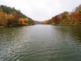 Scenic view of the Mountain Fork River at Beavers Bend State Park, Oklahoma in autumn.