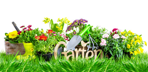 Gartenfreisteller Wiese Blumen Hintergrund