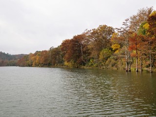 View at Mountain Fork River at Beavers Bend State Park, Oklahoma in autumn.