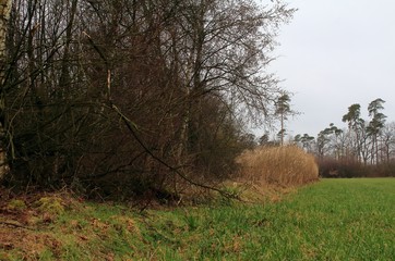 die Landschaft im M&uuml;nsterland