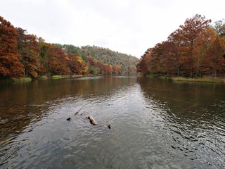 Colors of fall at the Mountain Fork River at Beavers Bend State Park, Oklahoma 