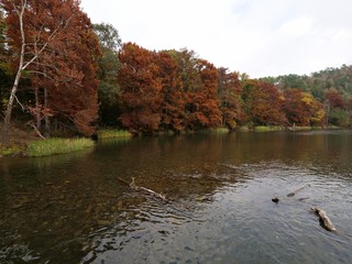Colorful riverbank of Mountain Fork at Beavers Bend State Park, Oklahoma at fall.