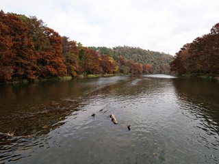 Breathtaking view of Mountain Fork at Beavers Bend State Park displaying full autumn colors, Oklahoma