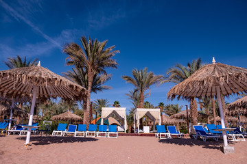 blue sky on the background of palm trees and parasols. advertising space