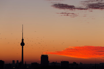 Berlin Skyline while sunset © Sven
