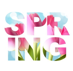 Hello Spring Banner Greetings Design  Background with Colorful Flower Elements. Vector illustration