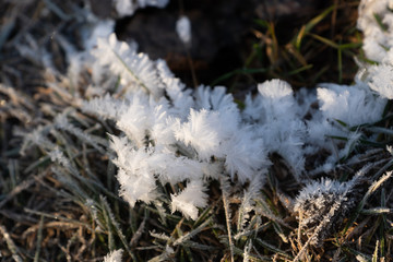frost