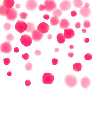 Pink rose petals falling vector valentine background.