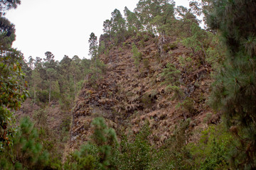 large view over a forest on rock formations