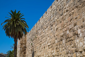 Obraz premium Jerusalem, Palestine, Israel-August 14, 2015-Ancient wall and palm tree in Jerusalem.