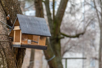 Birdhouse with a grey painted roof hanging on a tree on the background of the snow and trees