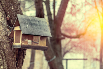 Birdhouse with a grey painted roof hanging on a tree on the background of the snow and trees
