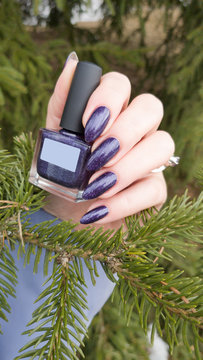 Female Hands With Long Nails With Purple Nail Polish