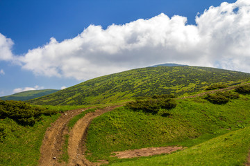 Dirt car track on green grassy hill leading to woody mountains ridge on bright blue sky copy space...