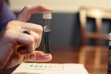 Person testing water pH balance for fish tank.