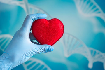 hand gives a red heart to a hand - blood donation,world blood donor day medical background