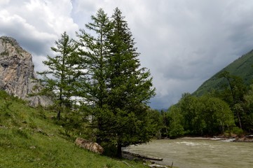 Mountain landscape by the river Chuya, Altai Republic, Siberia, Russia