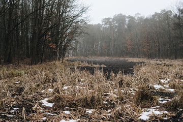 dried lake on a foggy day