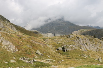 Fototapeta na wymiar Paysage de montagne suisse