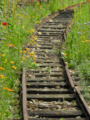 Disused railway track overgrown with flowers