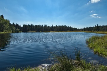 Fototapeta premium Mountain Pond in the Ore Mountains.