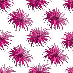 Seamless pattern with pink exotic flowers. Hand drawn vector on white background.