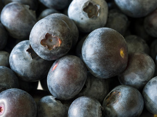 Nahaufnahme von Blaubeeren