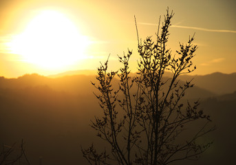 Obraz premium illuminated vegetation at sunset, hills