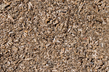 shells found on the bottom of a sea that has dried