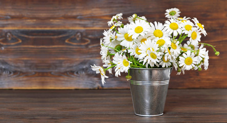 Mothers Day flowers. Daisies in the bucket on wooden background