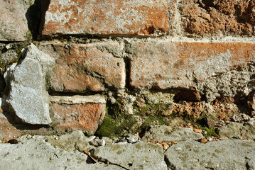 Red brick wall surface close up detail with green moss, grunge horizontal shabby background