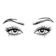 Vector Hand drawn beautiful female eyes with long black eyelashes and brows.
