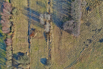 Aerial view at yellow grass and meadow, rural landscape during winter.