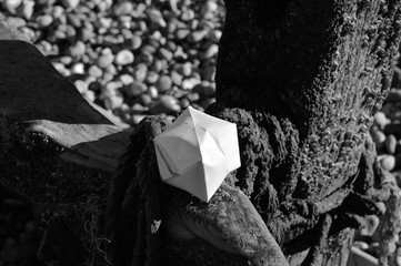 Paper Structure on Beach