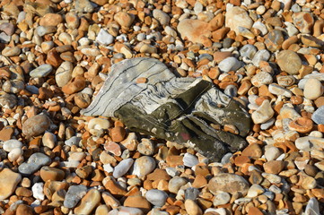 Old Glove on Beach